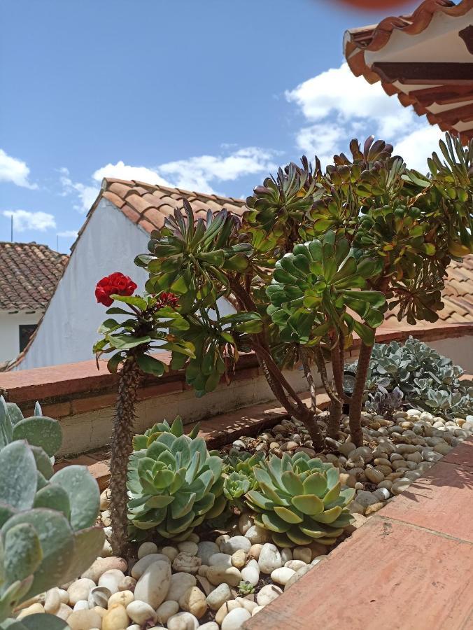 La Casa Del Arbol Hotel Boutique Вилья-де-Лейва Экстерьер фото